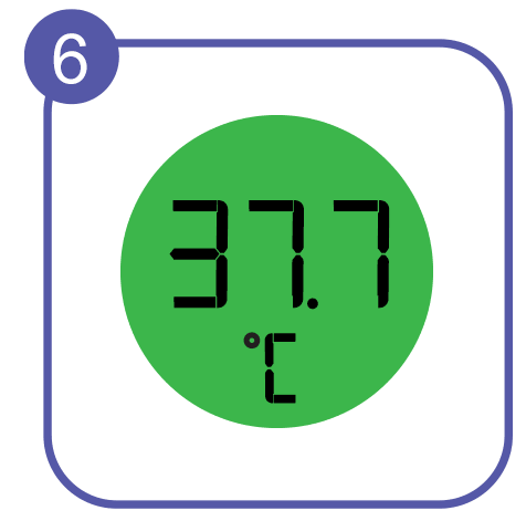 No touch + forehead thermometer BNT400