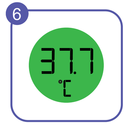 No touch + forehead thermometer BNT400